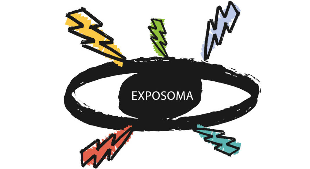 Exposoma