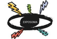 Exposoma