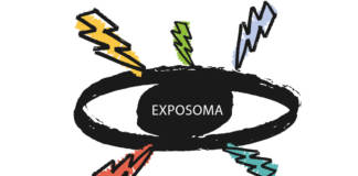 Exposoma